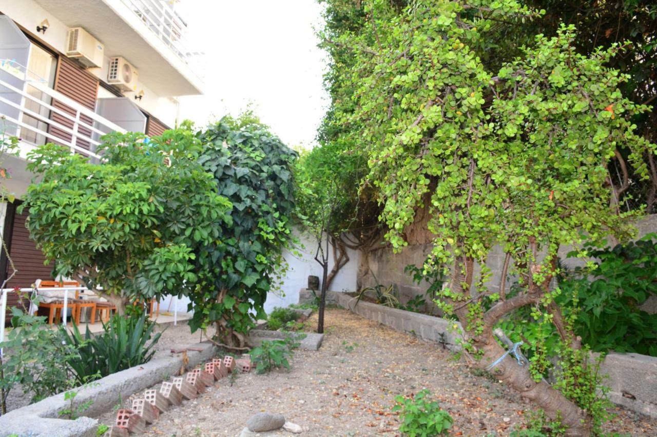 Golden Star Hotel Agia Marina  Exterior photo
